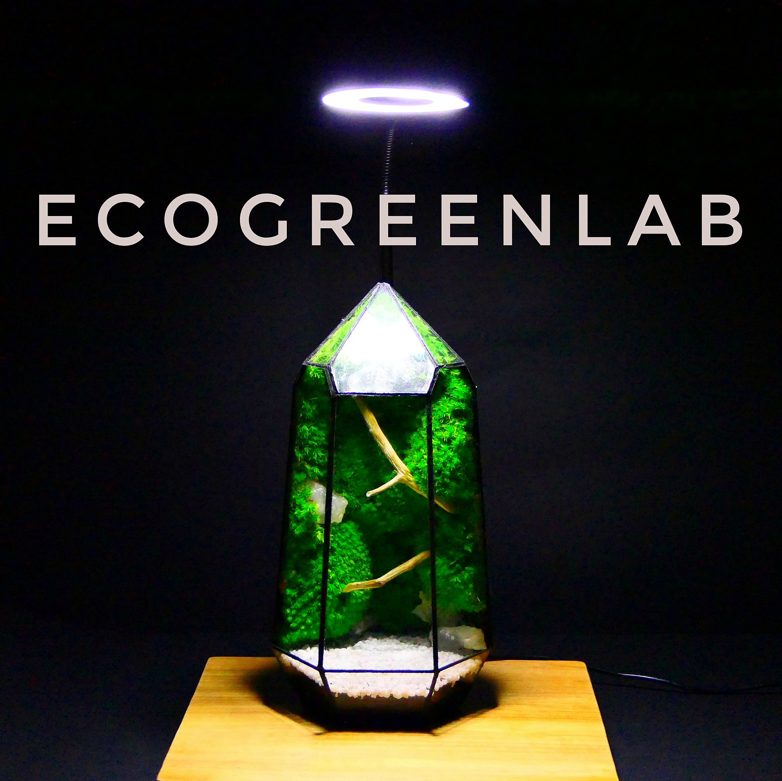FAQ – Ecogreenlab