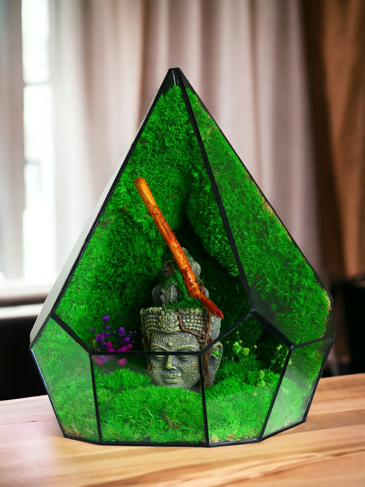 Terrarium Serie Zen