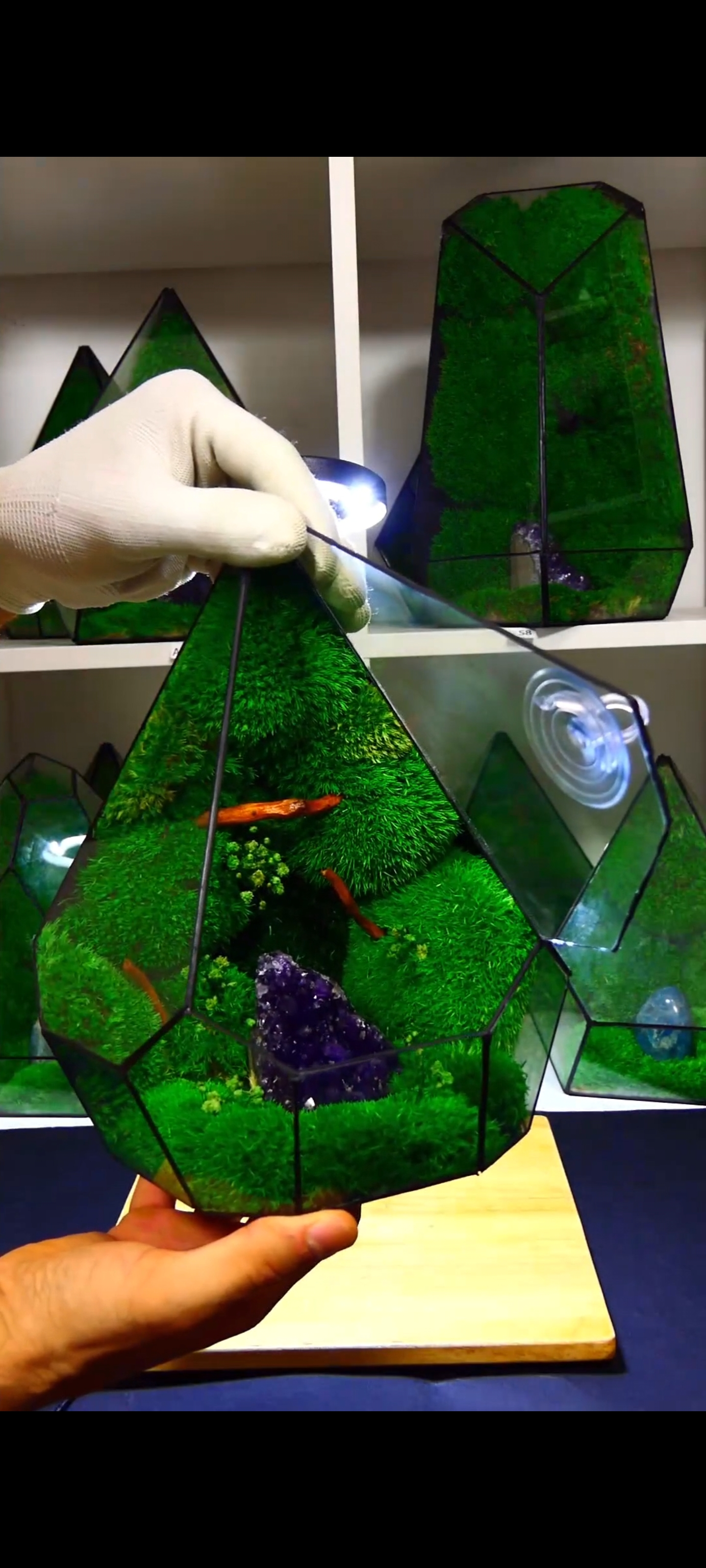 Terrarium con Ametista