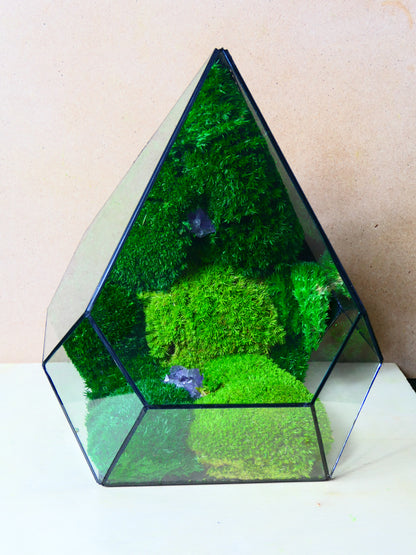 Terrarium T-132 🌱 - Ecogreenlab