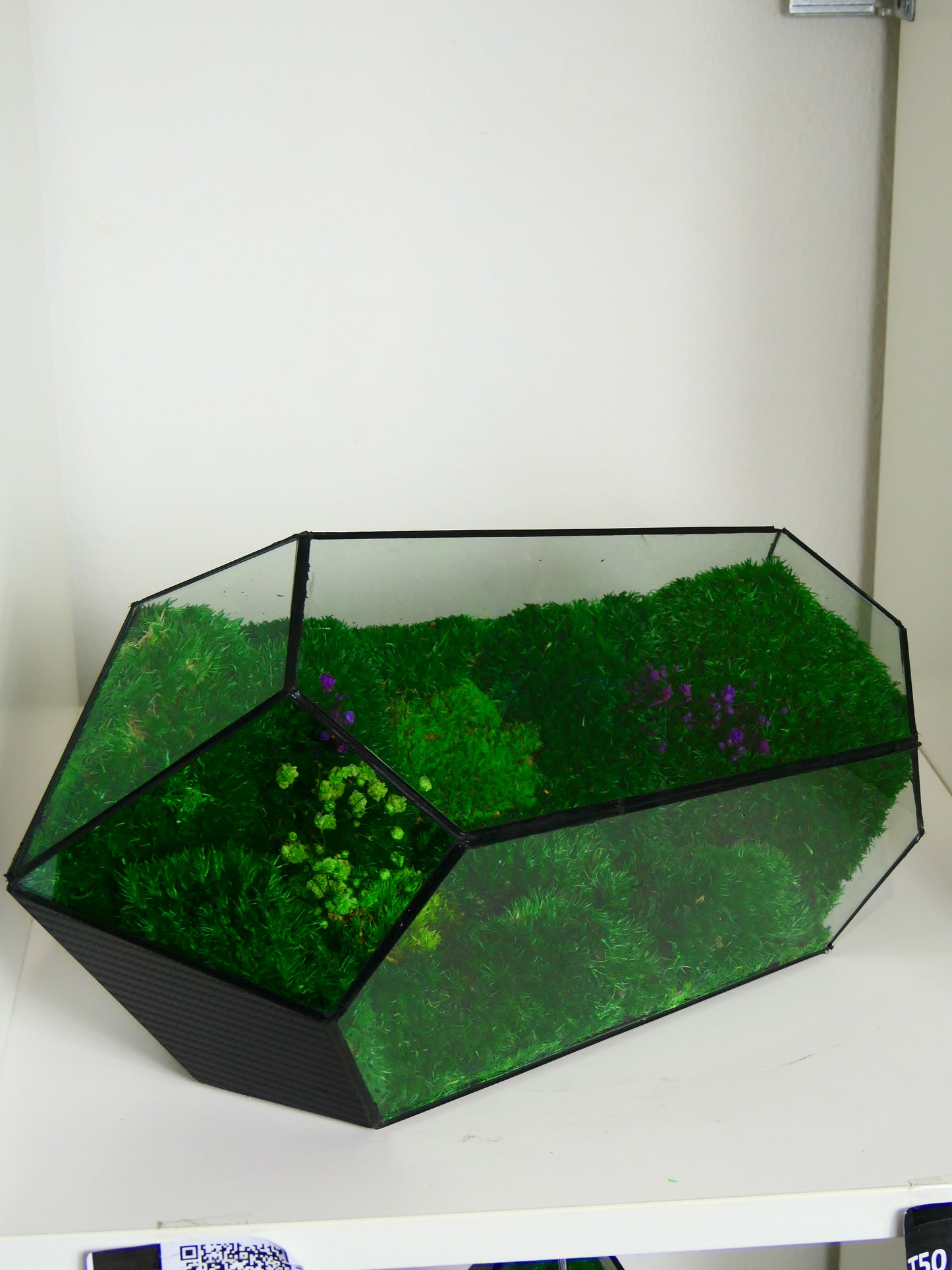 Terrarium T-151 🌱   terrario di vetro terrario piante  terrario