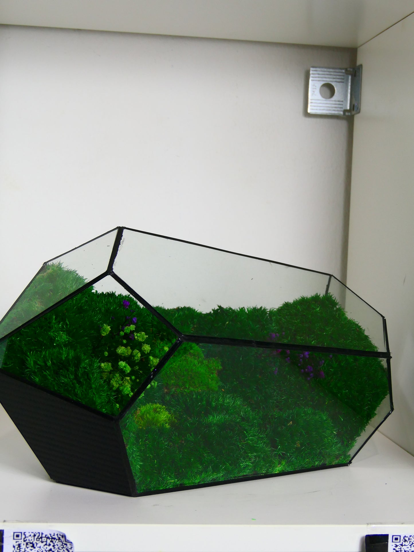 Terrarium T-151 🌱   terrario di vetro terrario piante  terrario