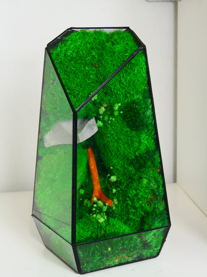 Terrarium T-150 🌱   terrario di vetro terrario piante  terrario