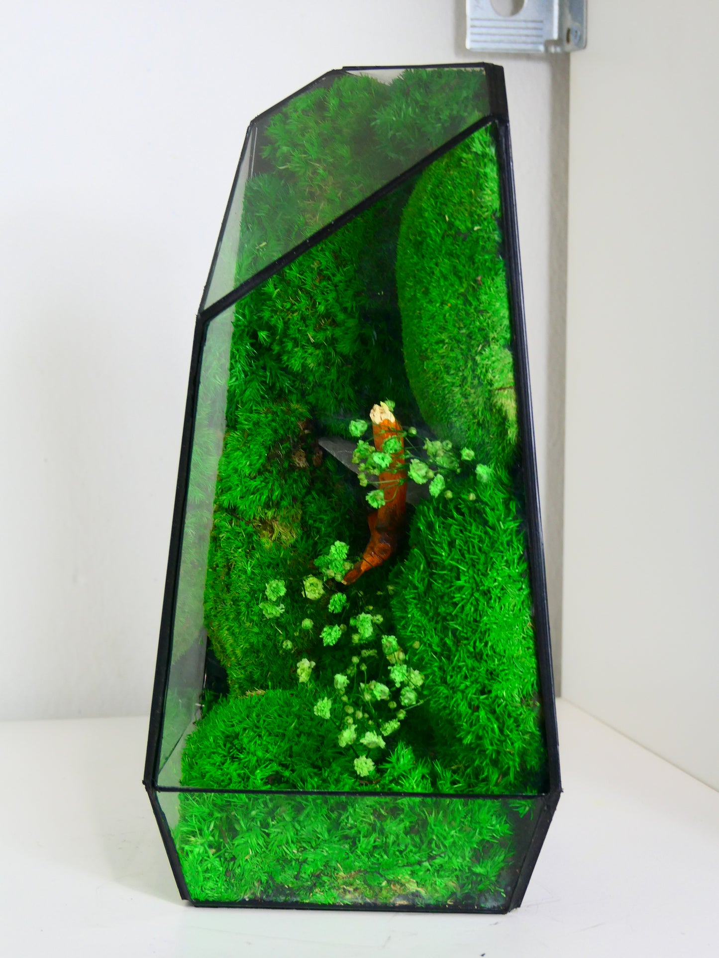 Terrarium T-149 🌱 glass terrarium terrarium plants terrarium