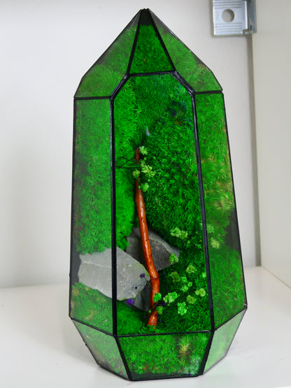 Terrarium T-136 🌱   terrario di vetro terrario piante  terrario