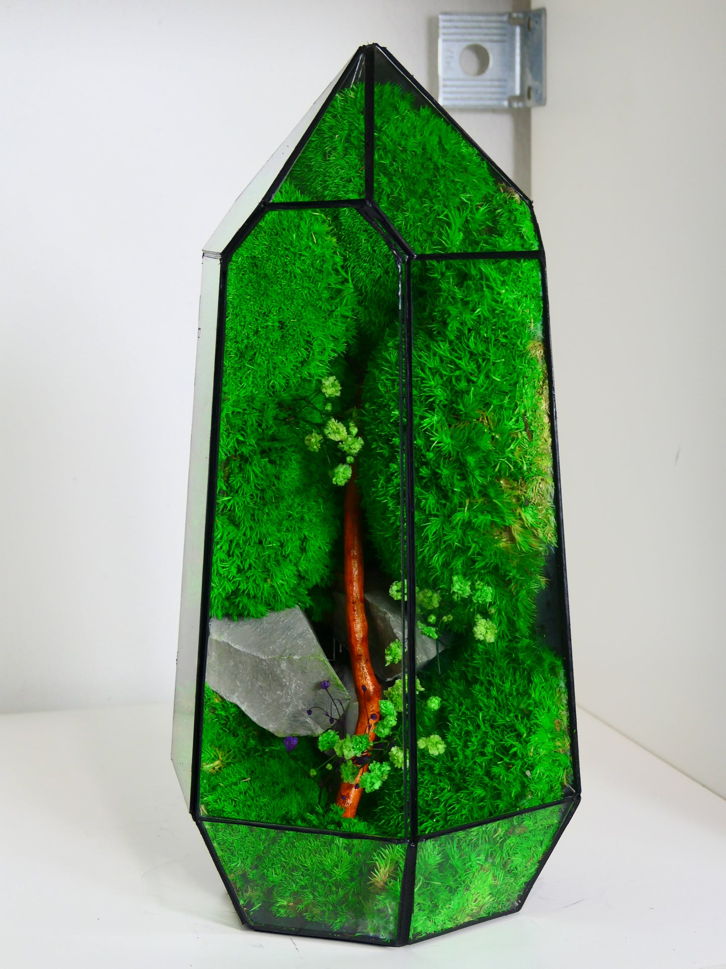 Terrarium T-136 🌱 glass terrarium terrarium plants terrarium