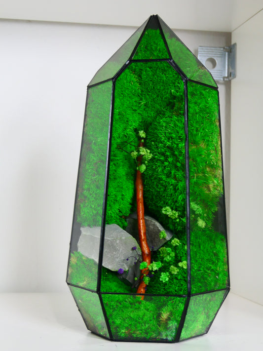 Terrarium T-136 🌱   terrario di vetro terrario piante  terrario