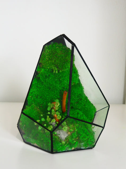 Terrarium T-139 🌱 glass terrarium terrarium plants terrarium