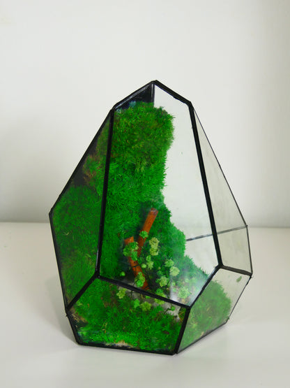 Terrarium T-139 🌱   terrario di vetro terrario piante  terrario