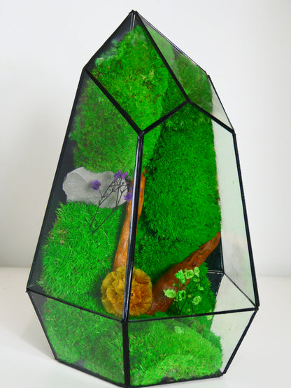 Terrarium T-134 🌱   terrario di vetro terrario piante  terrario