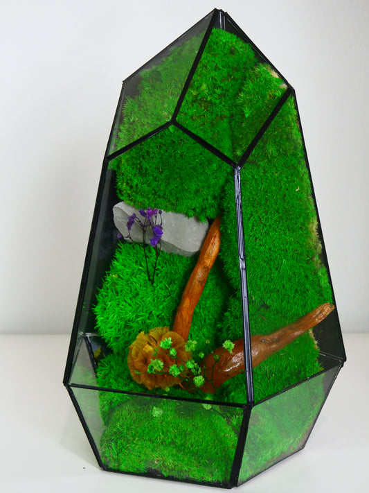 Terrarium T-134 🌱   terrario di vetro terrario piante  terrario