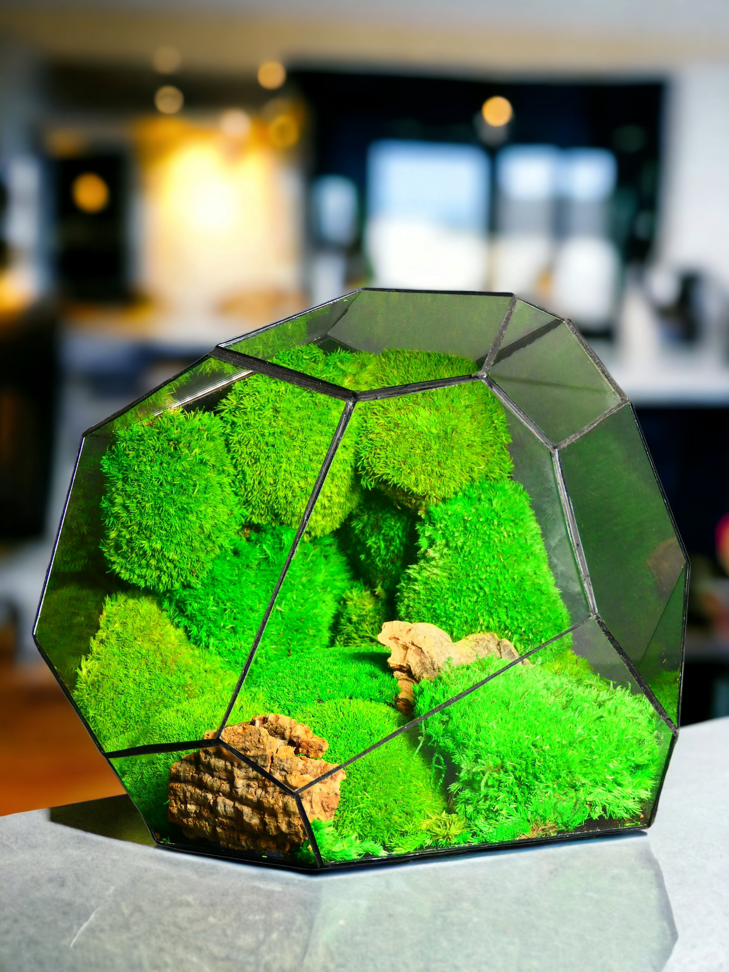 Hypernova "Terrarium" 🌱 T10 - Ecogreenlab