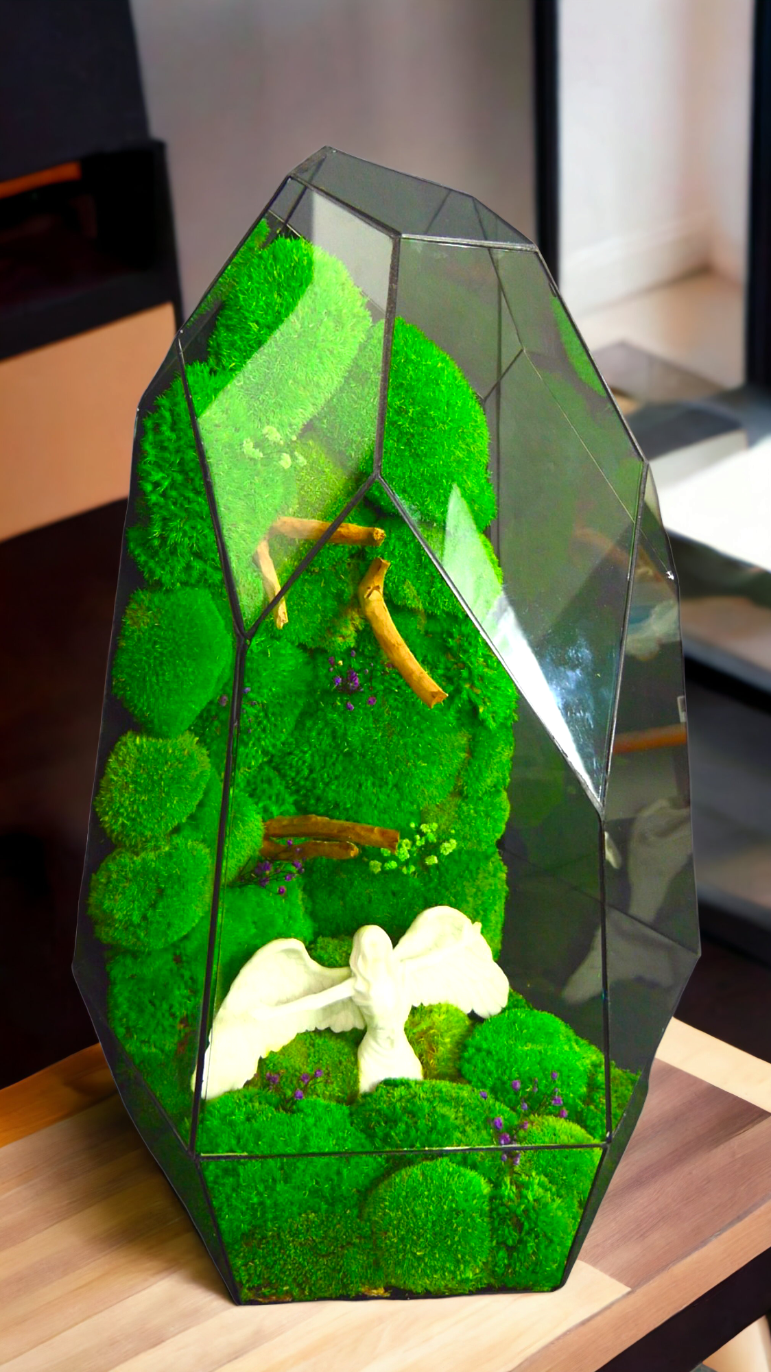 The forest of angels "T-81 🌱 Limited edition "Giant". glass terrarium terrarium plants terrarium