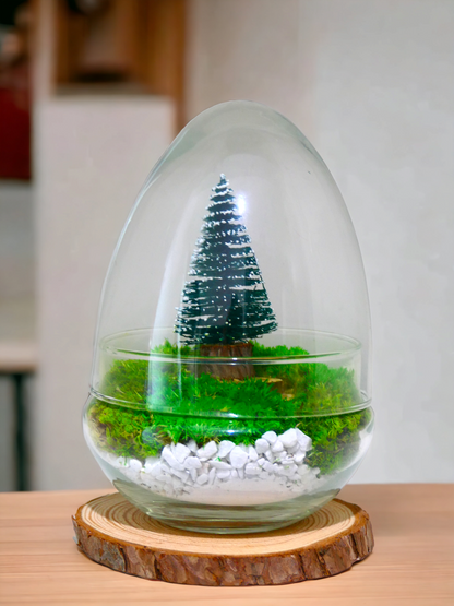 Terrarium a uovo "Natalizio" T-83 🌱 - Ecogreenlab