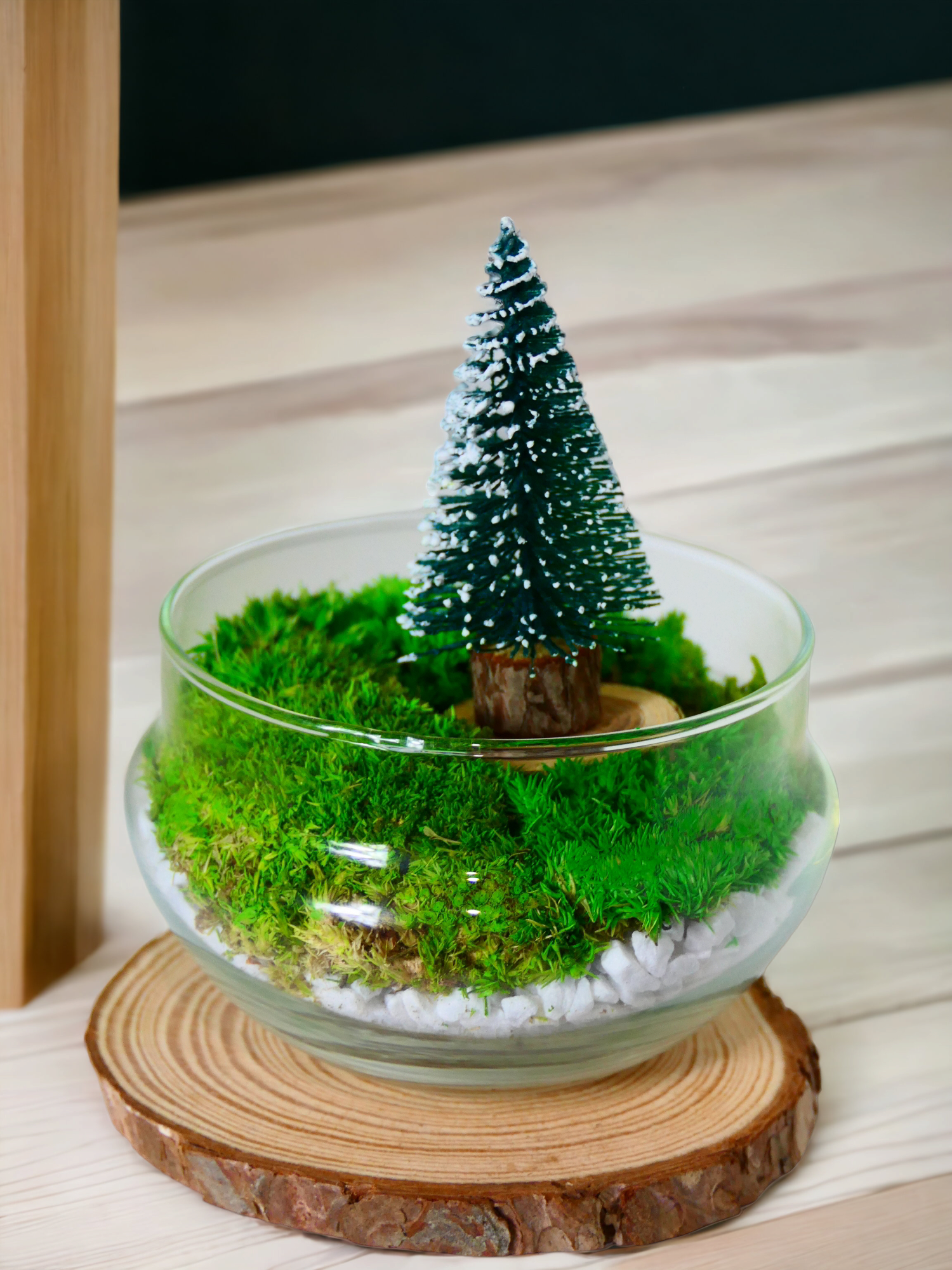 Terrarium a uovo "Natalizio" T-83 🌱 - Ecogreenlab