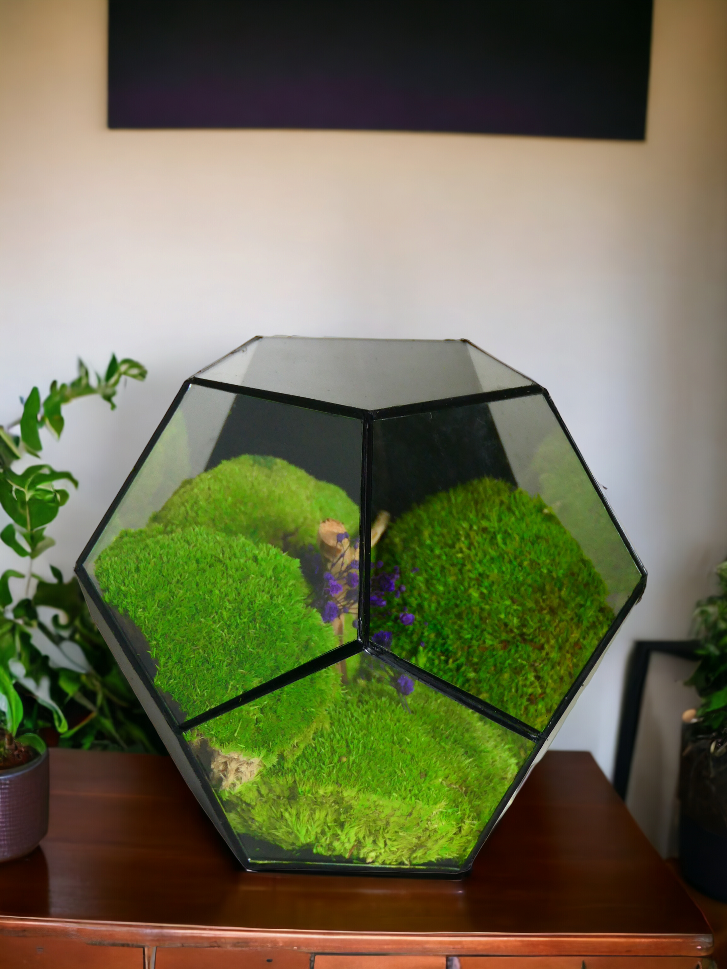 Decaedro T-88 🌱 Terrarium - Ecogreenlab