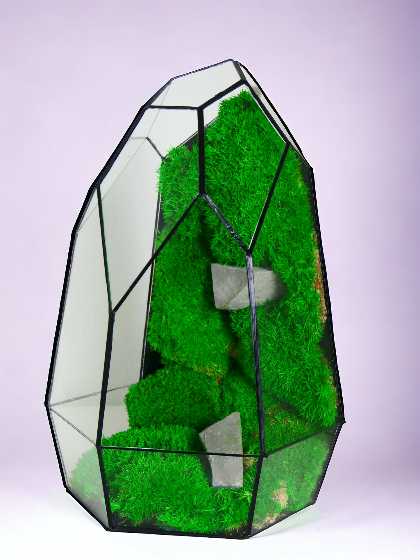 Terrarium T-146 🌱 glass terrarium terrarium plants terrarium