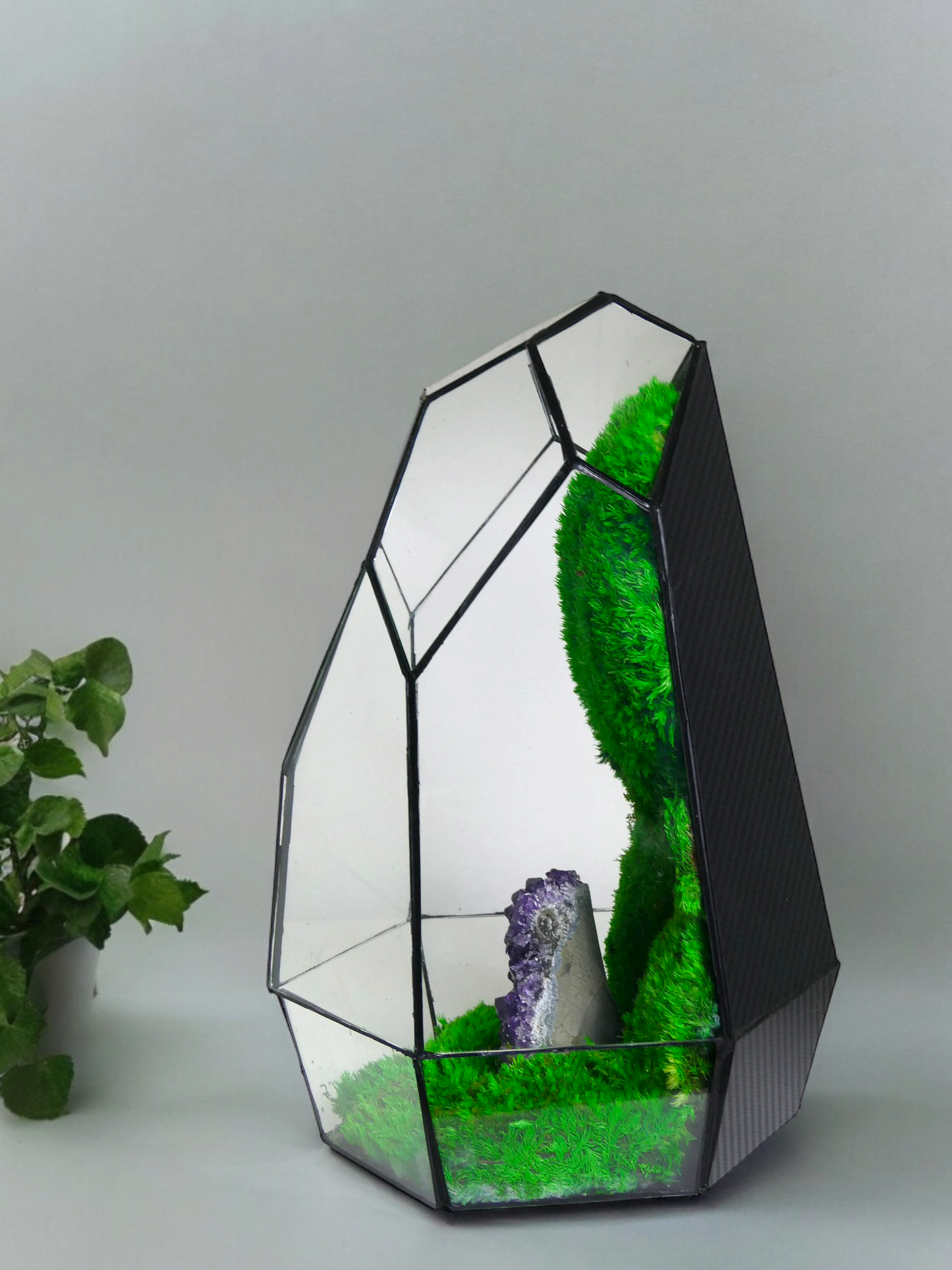 Terrarium A6 🌱  terrario di vetro terrario piante  terrario