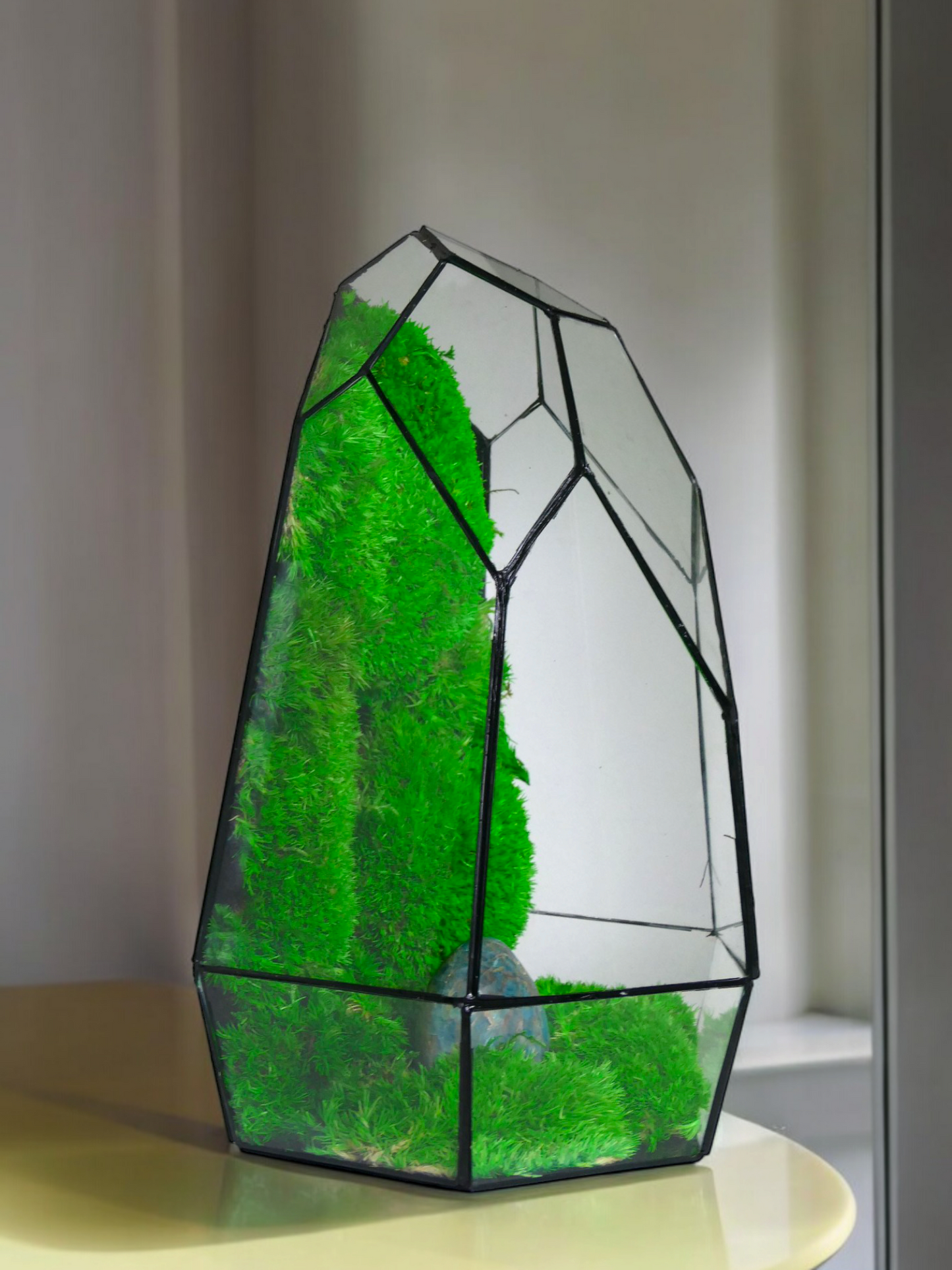 Terrarium P3 glass terrarium terrarium plants terrarium