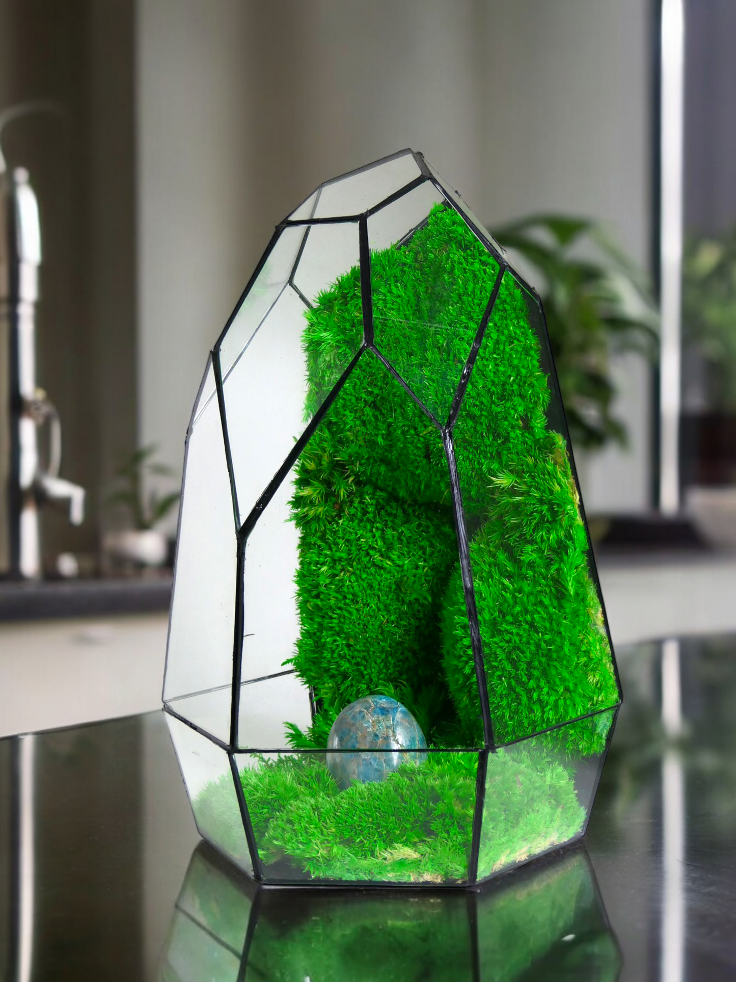 Terrarium P3 glass terrarium terrarium plants terrarium