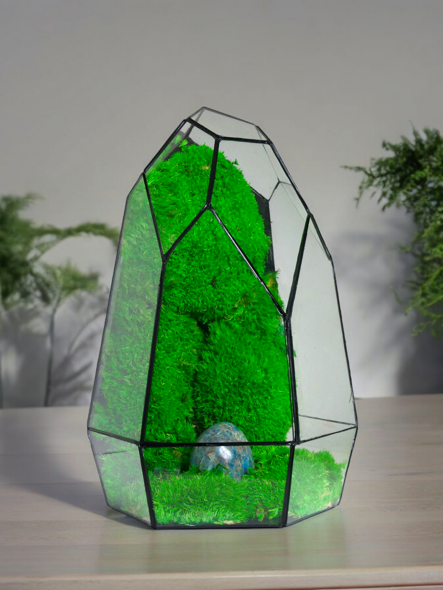 Terrarium P3 glass terrarium terrarium plants terrarium