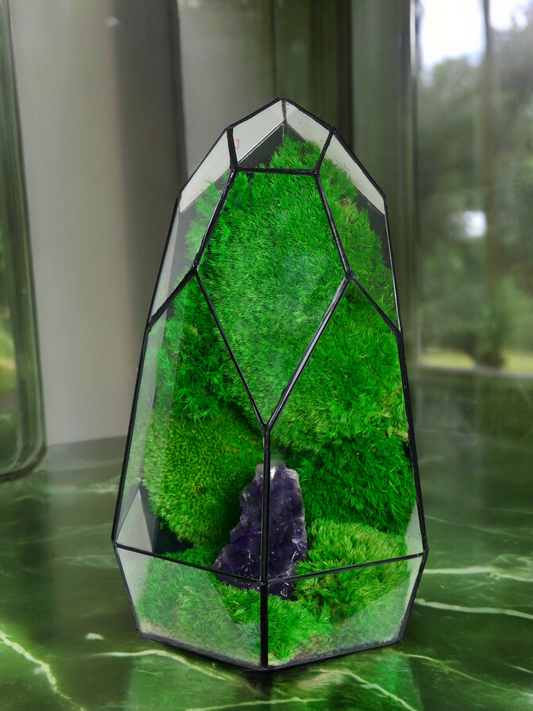 Terrarium A7 🌱 glass terrarium terrarium plants terrarium