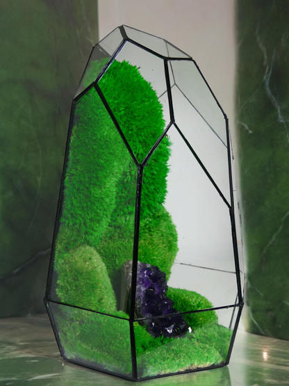 Terrarium A8 🌱  terrario di vetro terrario piante  terrario