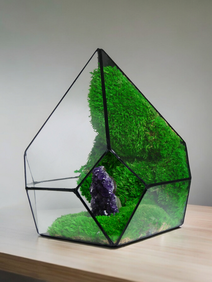 Terrarium A19 🌱 terrario di vetro terrario piante  terrario