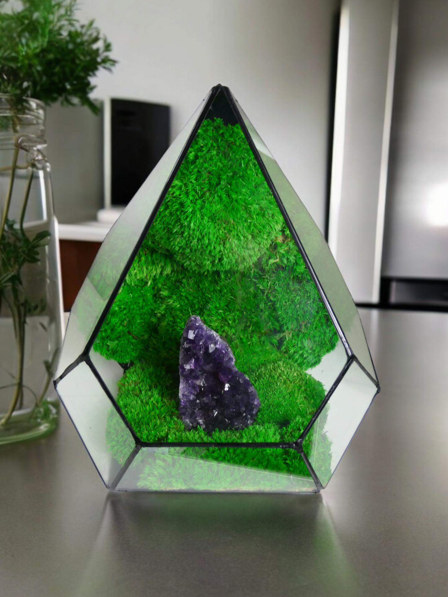 Terrarium A19 🌱 glass terrarium terrarium plants terrarium