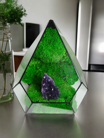 Terrarium A19 🌱 terrario di vetro terrario piante  terrario