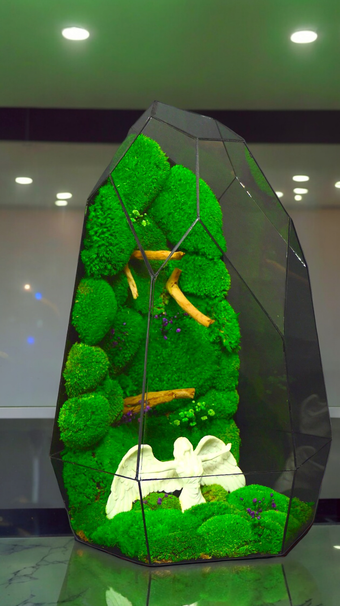 The forest of angels "T-81 🌱 Limited edition "Giant". glass terrarium terrarium plants terrarium