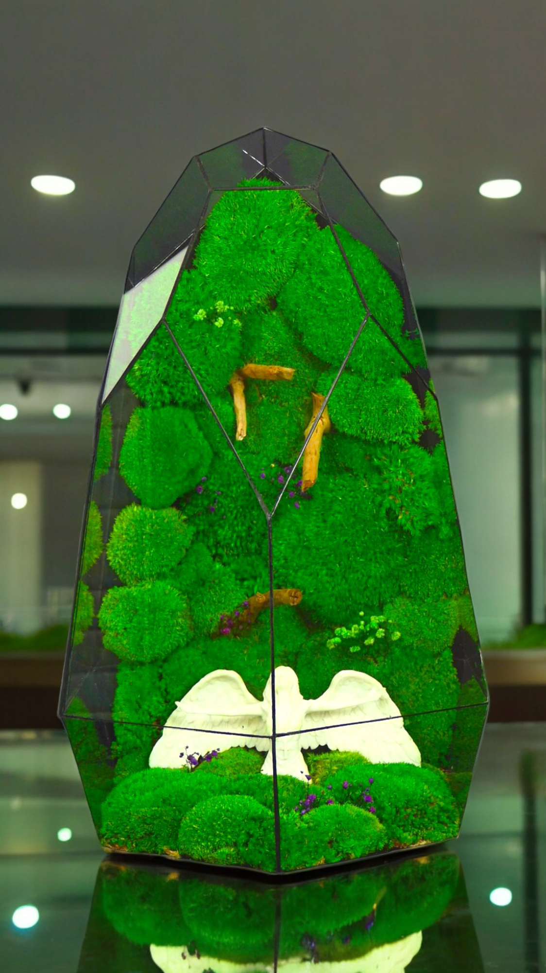 The forest of angels "T-81 🌱 Limited edition "Giant". glass terrarium terrarium plants terrarium