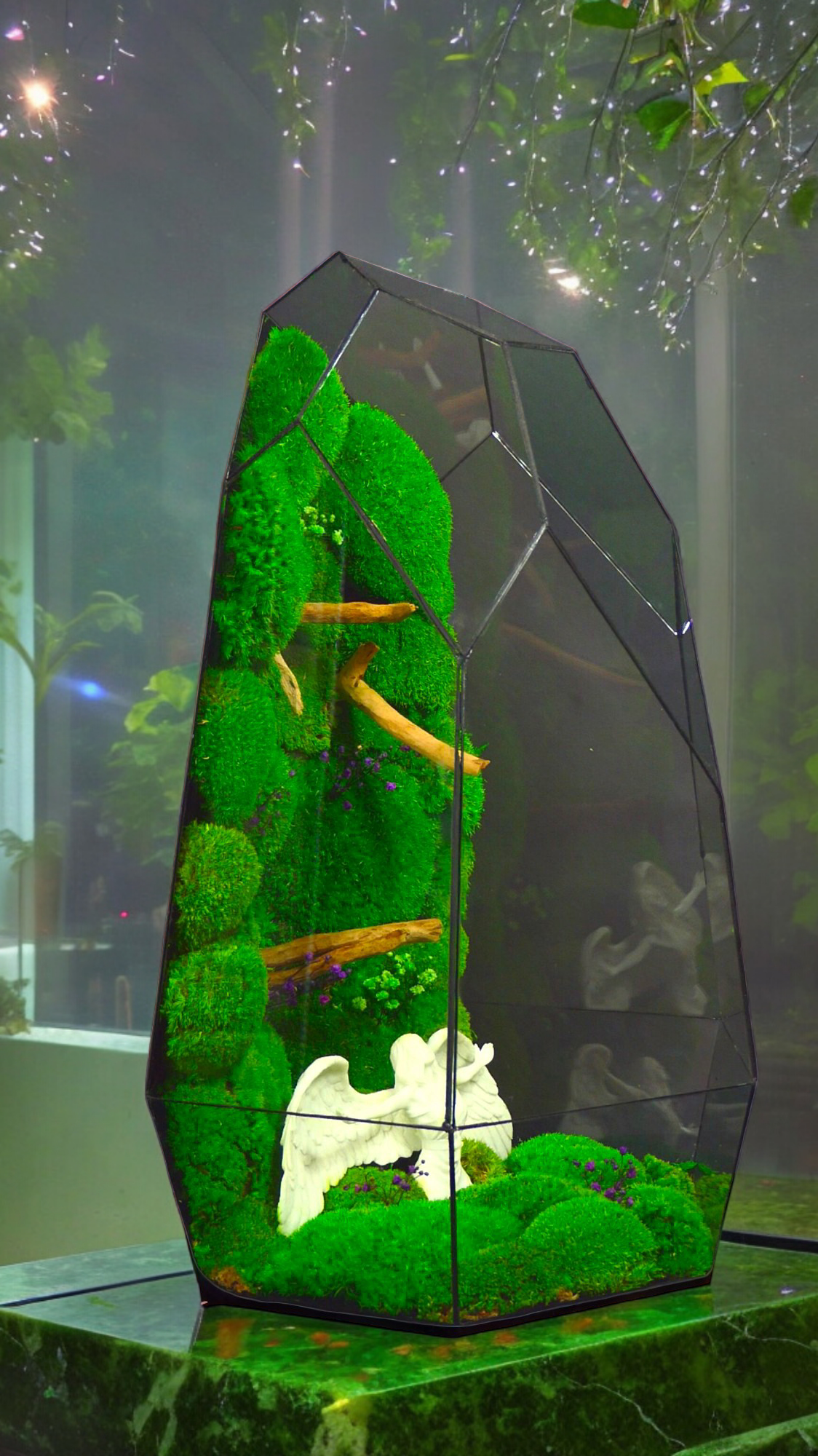 The forest of angels "T-81 🌱 Limited edition "Giant". glass terrarium terrarium plants terrarium