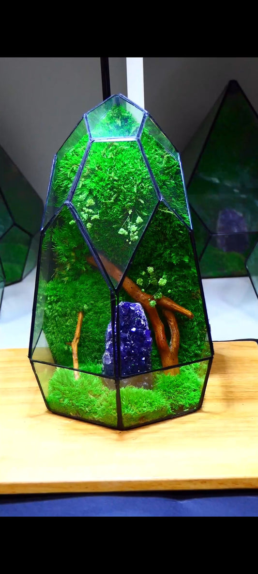 Terrarium A10 🌱 glass terrarium terrarium plants terrarium