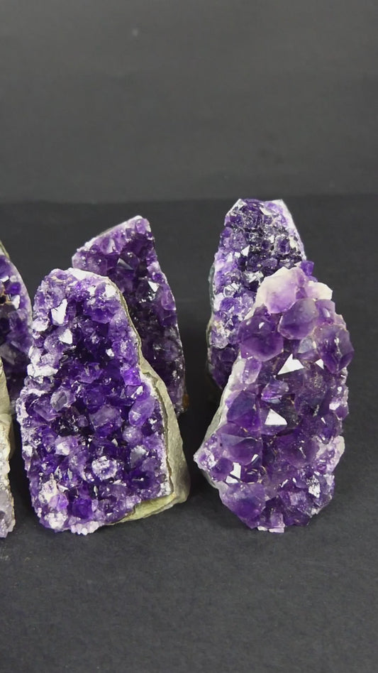 Amethyst geode (Uruguay). glass terrarium terrarium plants terrarium