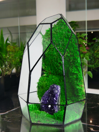 Terrarium A9 🌱 glass terrarium terrarium plants terrarium