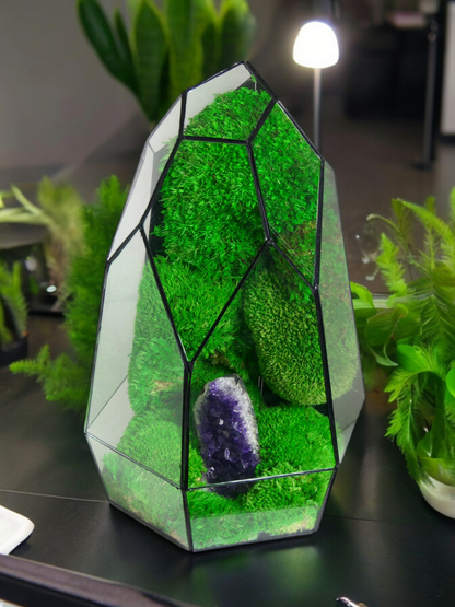 Terrarium A13 🌱 glass terrarium terrarium plants terrarium