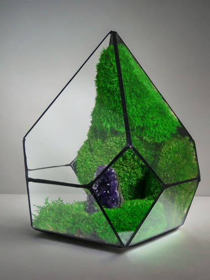 Terrarium A17 🌱  terrario di vetro terrario piante  terrario