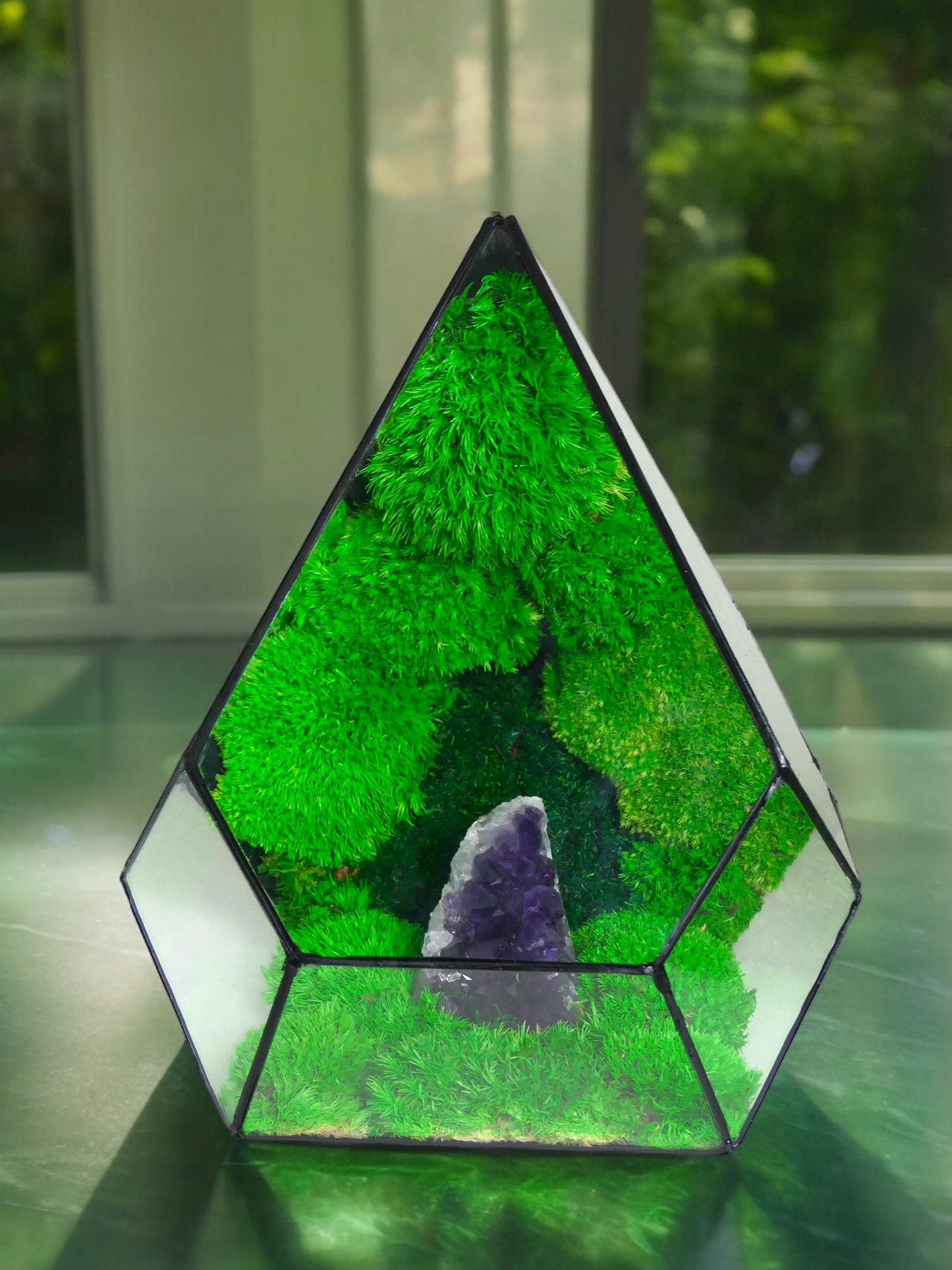 Terrarium A11 🌱  terrario di vetro terrario piante  terrario