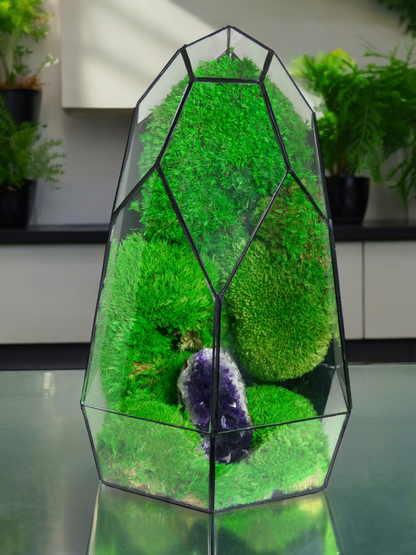 Terrarium A13 🌱 glass terrarium terrarium plants terrarium