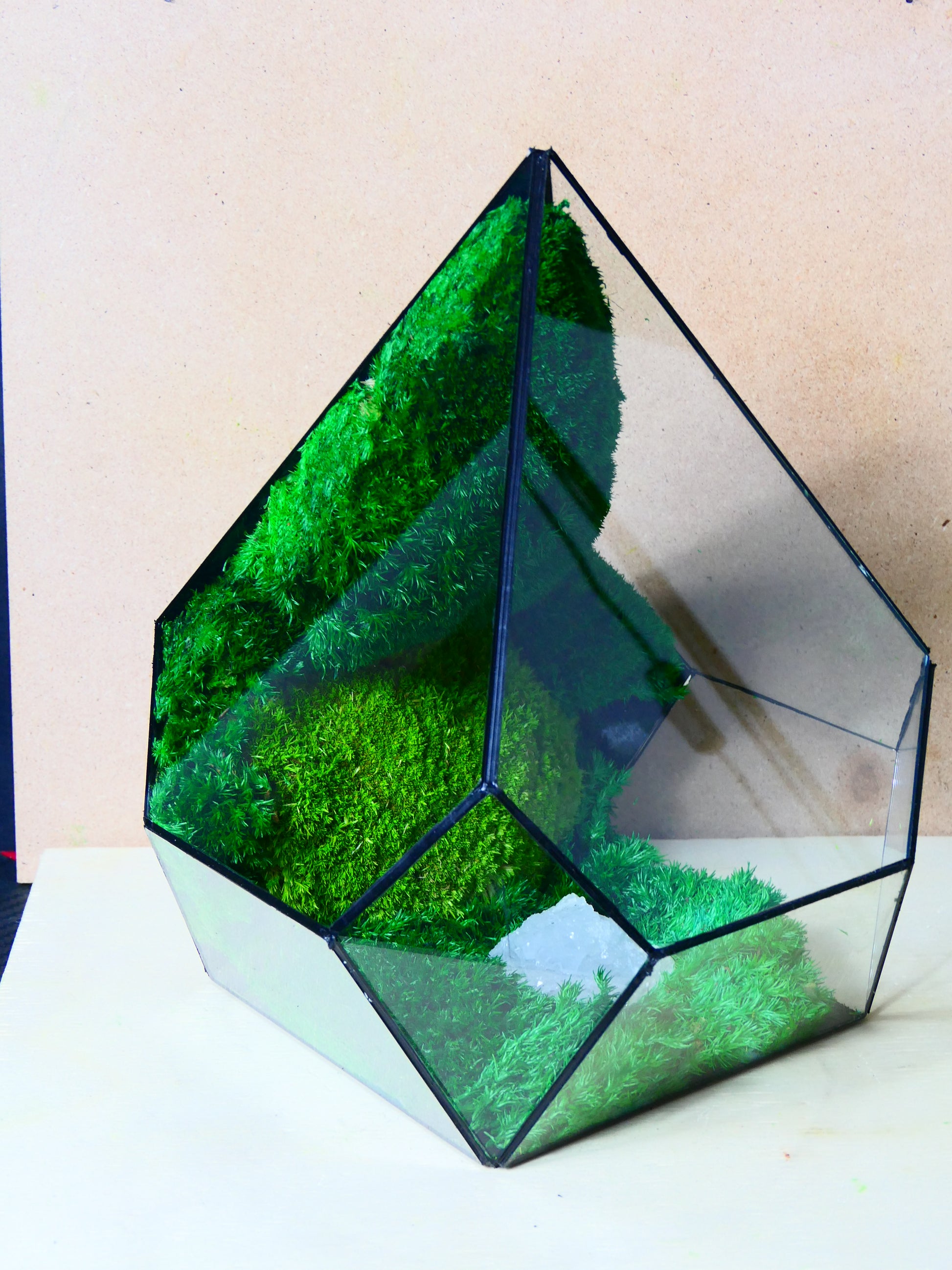 Terrarium T-133 🌱 - Ecogreenlab