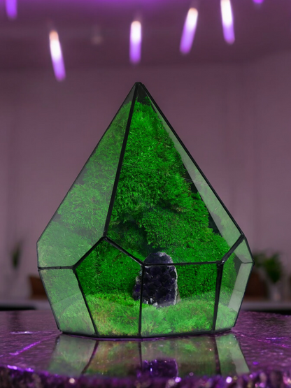 Terrarium A21 🌱 glass terrarium terrarium plants terrarium