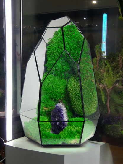 Terrarium A13 🌱 glass terrarium terrarium plants terrarium