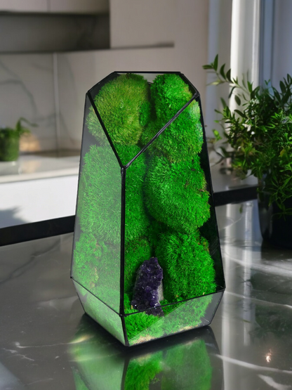 Terrarium A5 🌱 glass terrarium terrarium plants terrarium