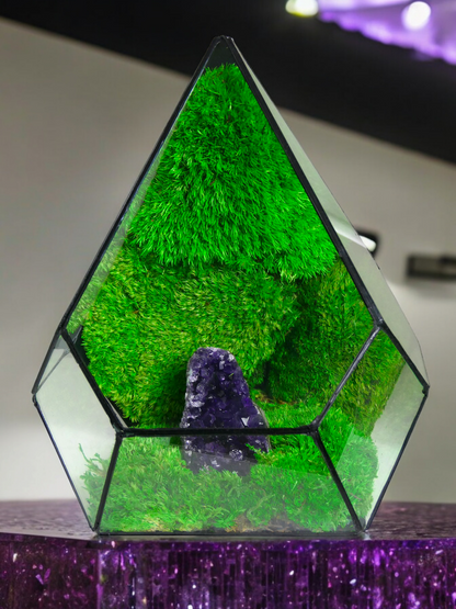 Terrarium A17 🌱  terrario di vetro terrario piante  terrario