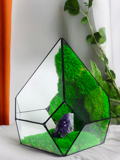 Terrarium A11 🌱 glass terrarium terrarium plants terrarium