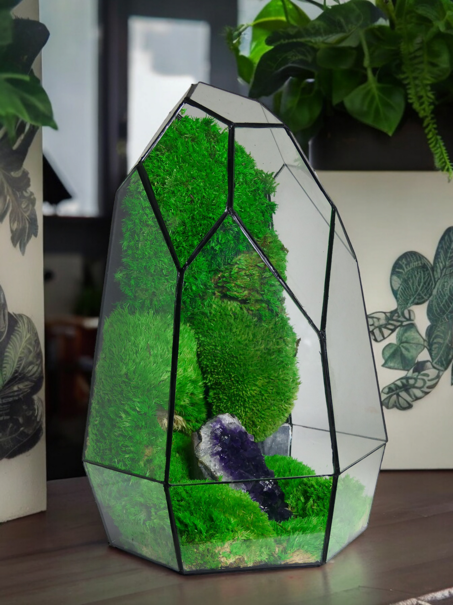 Terrarium A13 🌱   terrario di vetro terrario piante  terrario