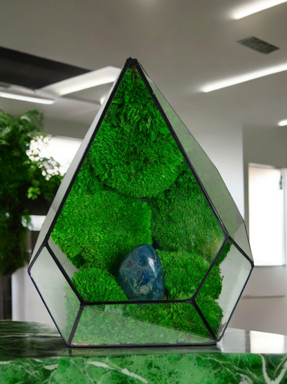 Terrarium P7 🌱   terrario di vetro terrario piante  terrario