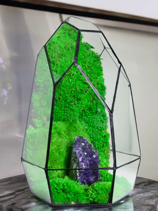 Terrarium A9 🌱  terrario di vetro terrario piante  terrario